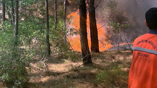 Kozan’da çıkan orman yangını kontrol altına alındı