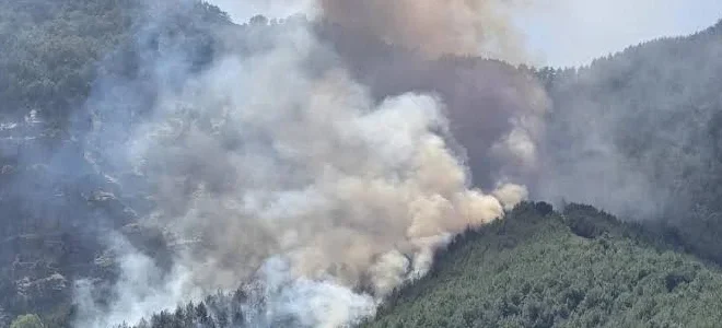 Antalya Kepez'de orman yangını
