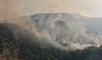 16 ilde 44 orman yangını soruşturması: 29 şüpheli hakkında işlem